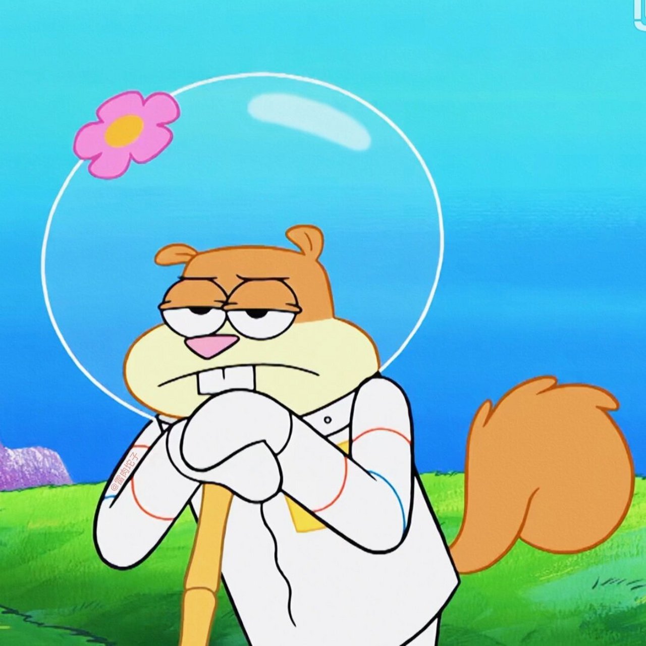 珊迪头像合集26615