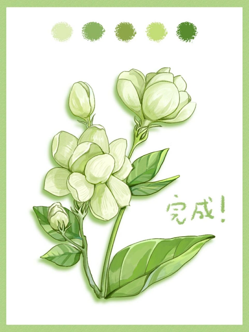 🌺🌺🌺 🎨绘画工具:ps wacom手绘板 - 插画栀子花画法步骤