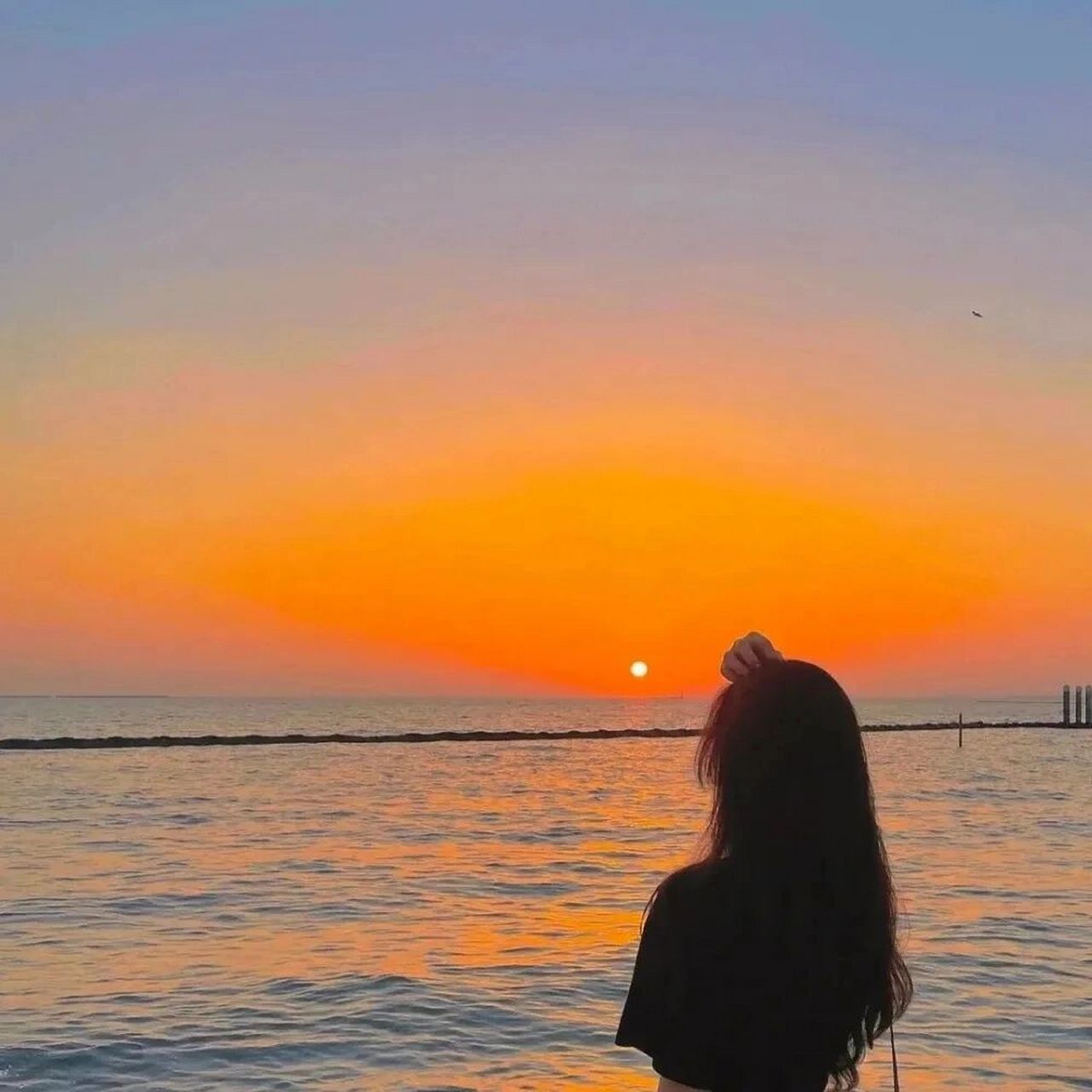 头像|抖音热门的微信头像 抖音热门的微信头像分享 99以此轮皎洁的