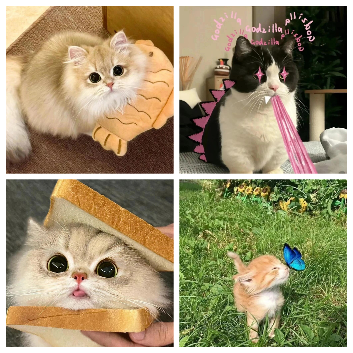 想要让你的头像变得更加可爱吗?那就来看看这些超萌的小猫头像吧!