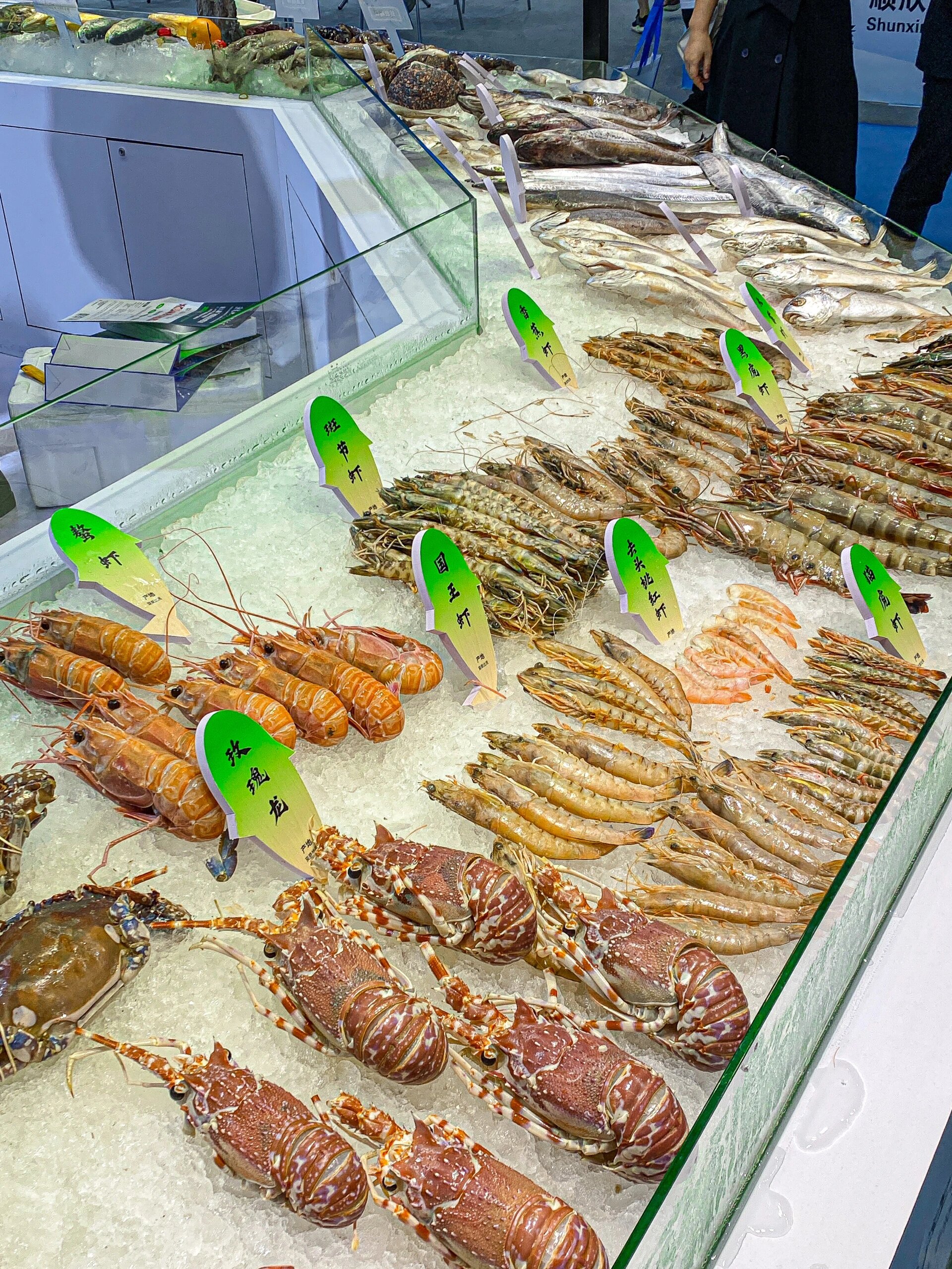 深圳最大的海鲜鱼市场在这! 来鱼博会真的大开眼界!