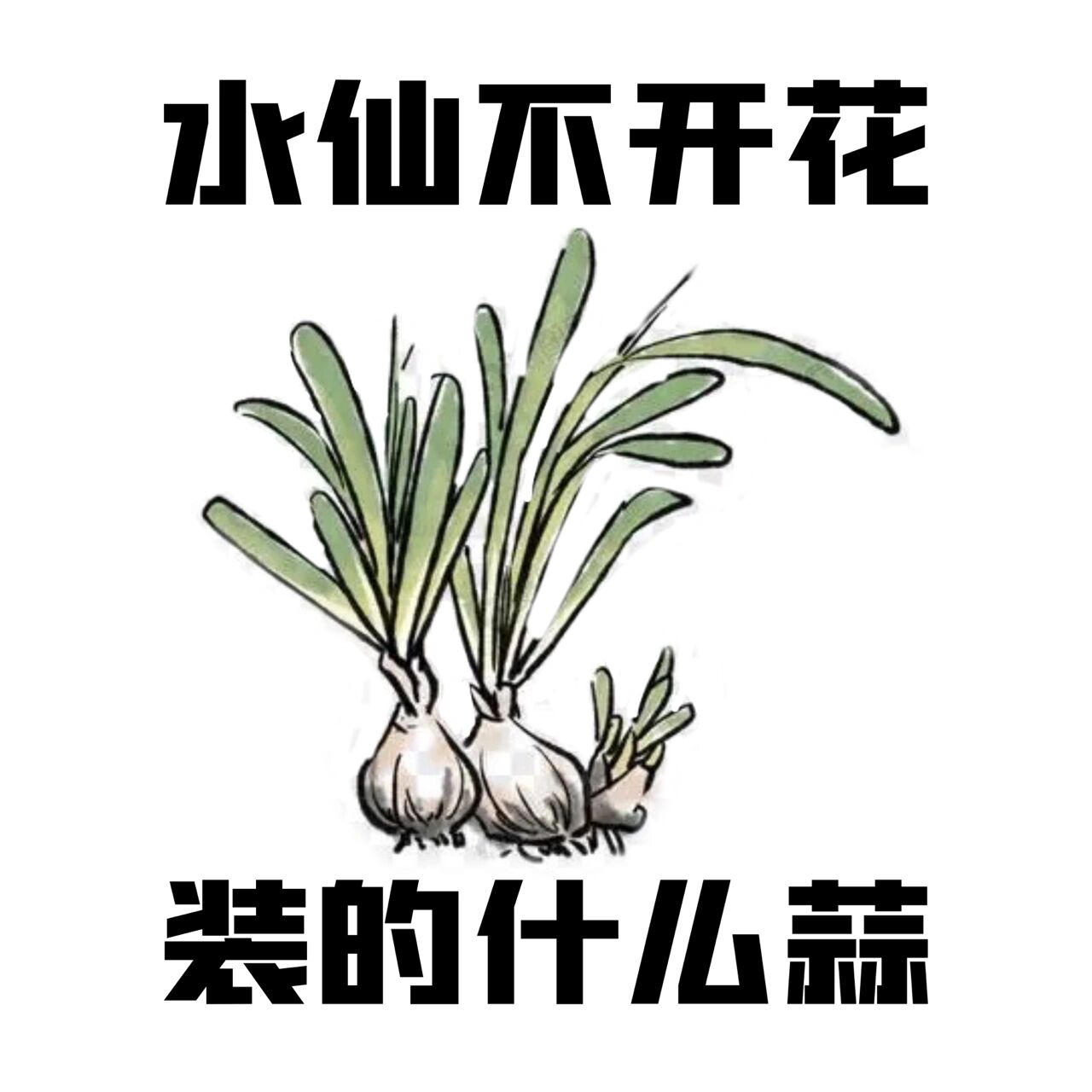 歇后语表情包6
