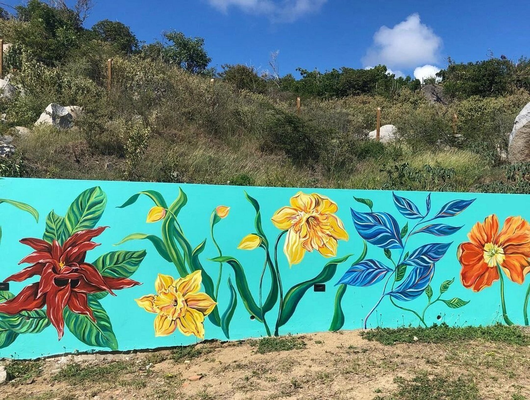 户外围墙彩绘 手绘花卉壁画