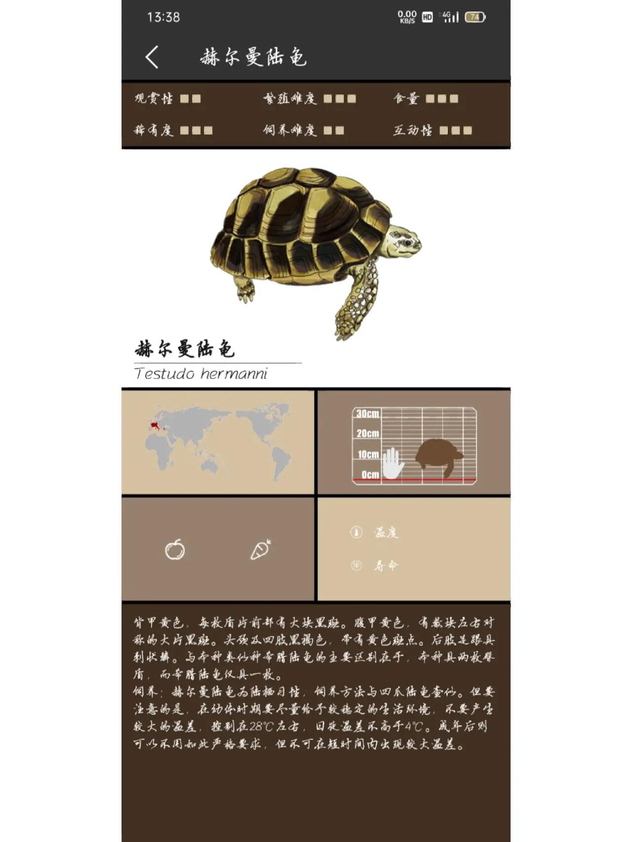 分享9种常见陆龟品种