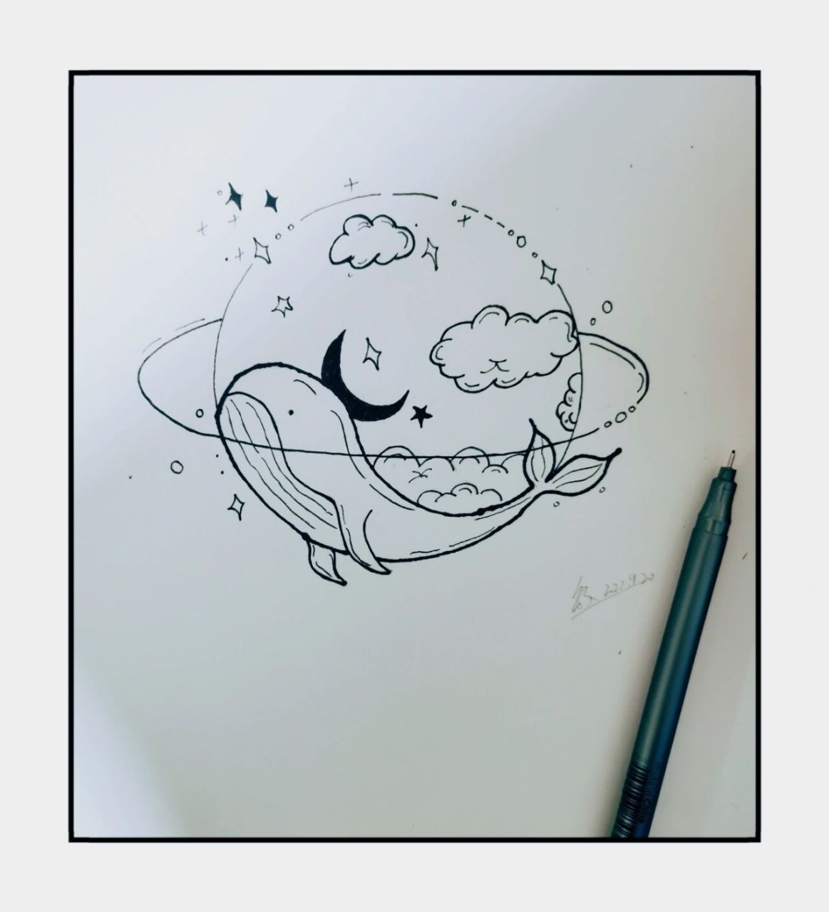 海棠简笔画鲸鱼图片
