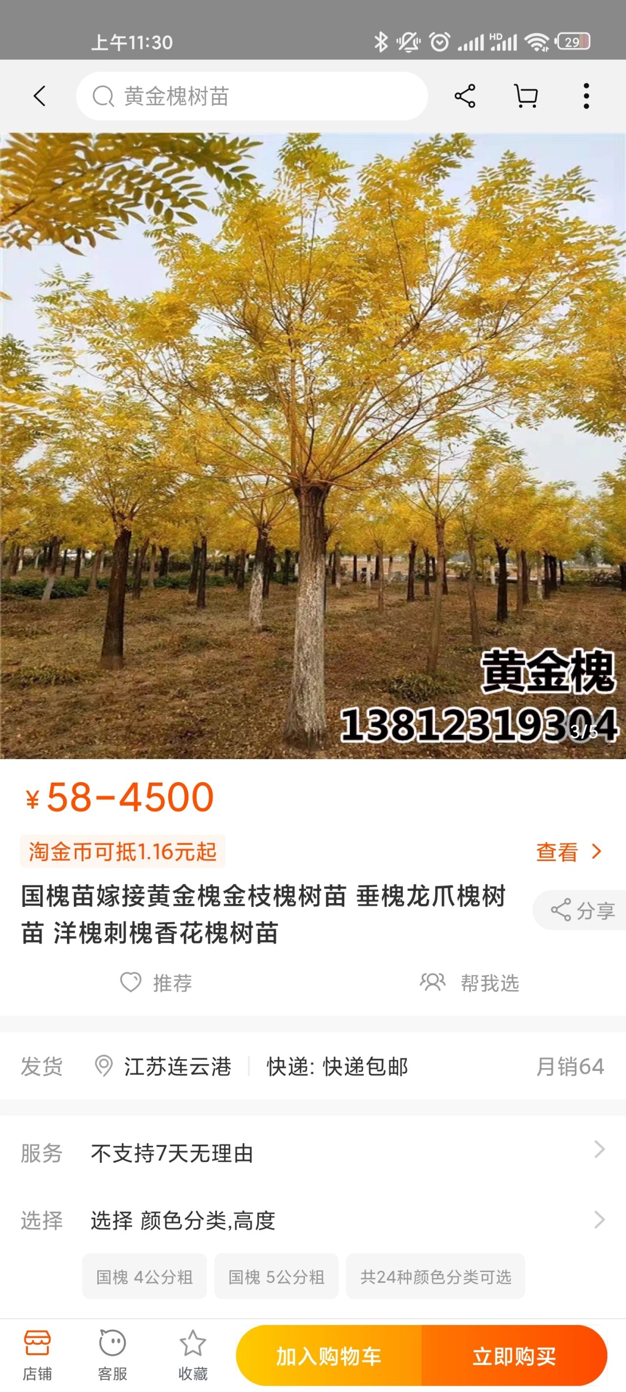 国槐|黄金槐 被小区的这个树治愈了 一直不知道叫什么名字 tb识图才