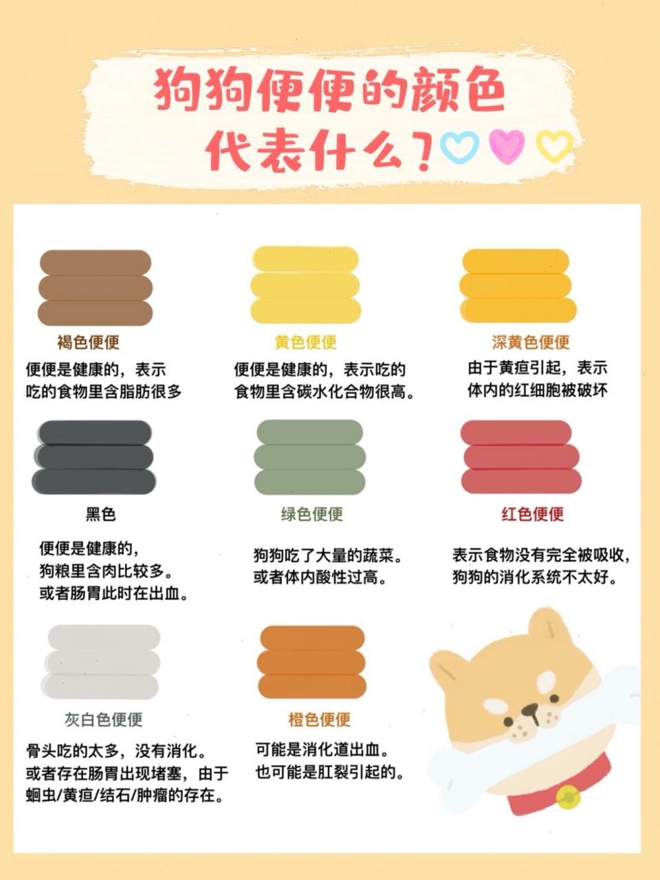 你了解狗狗么6315狗便便颜色反应不同健康状态 大家好,我是可妈