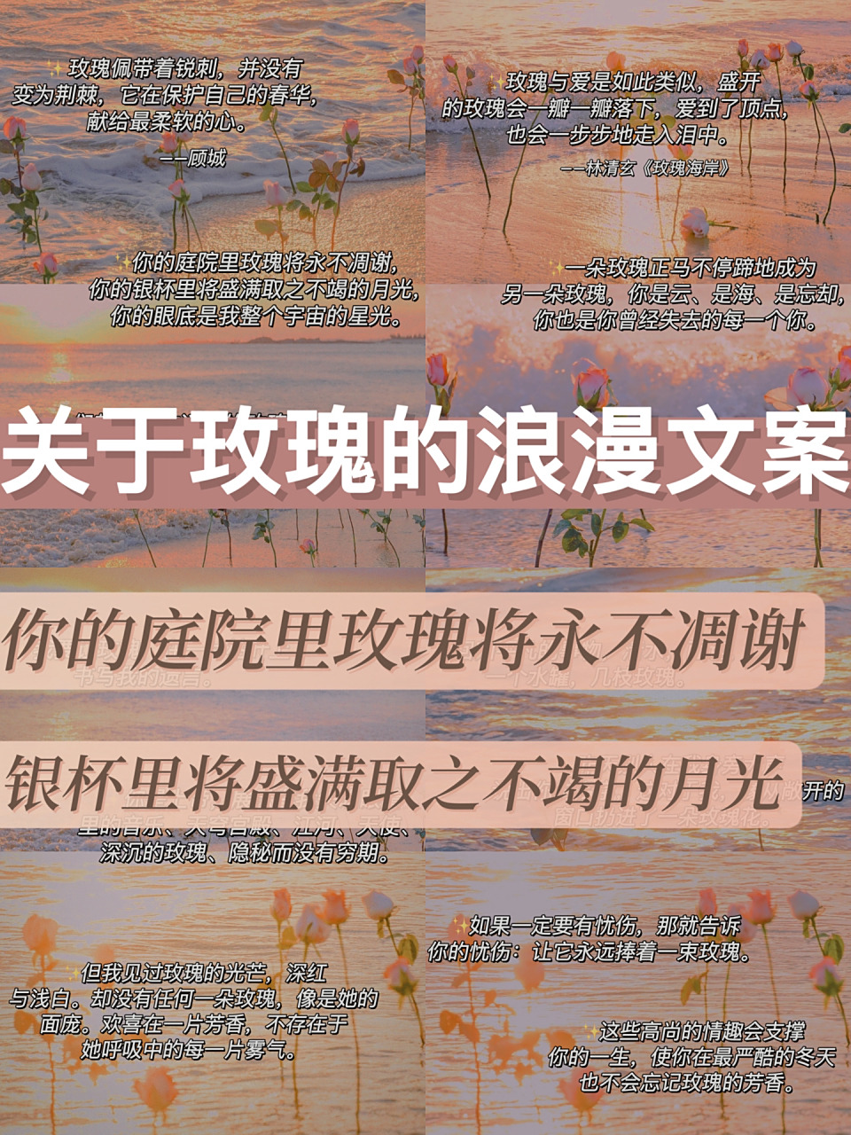 文案 78你的庭院里玫瑰将永不凋谢,你的银杯里将盛满取之不竭的月光