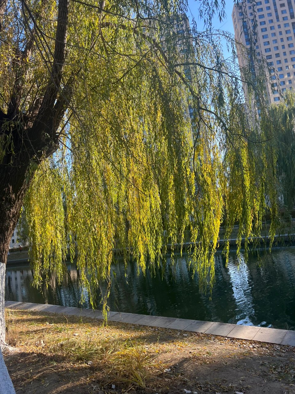 沈阳周末逛公园之怒江公园 周末继续公园之旅之怒江公园,是一个坐落在