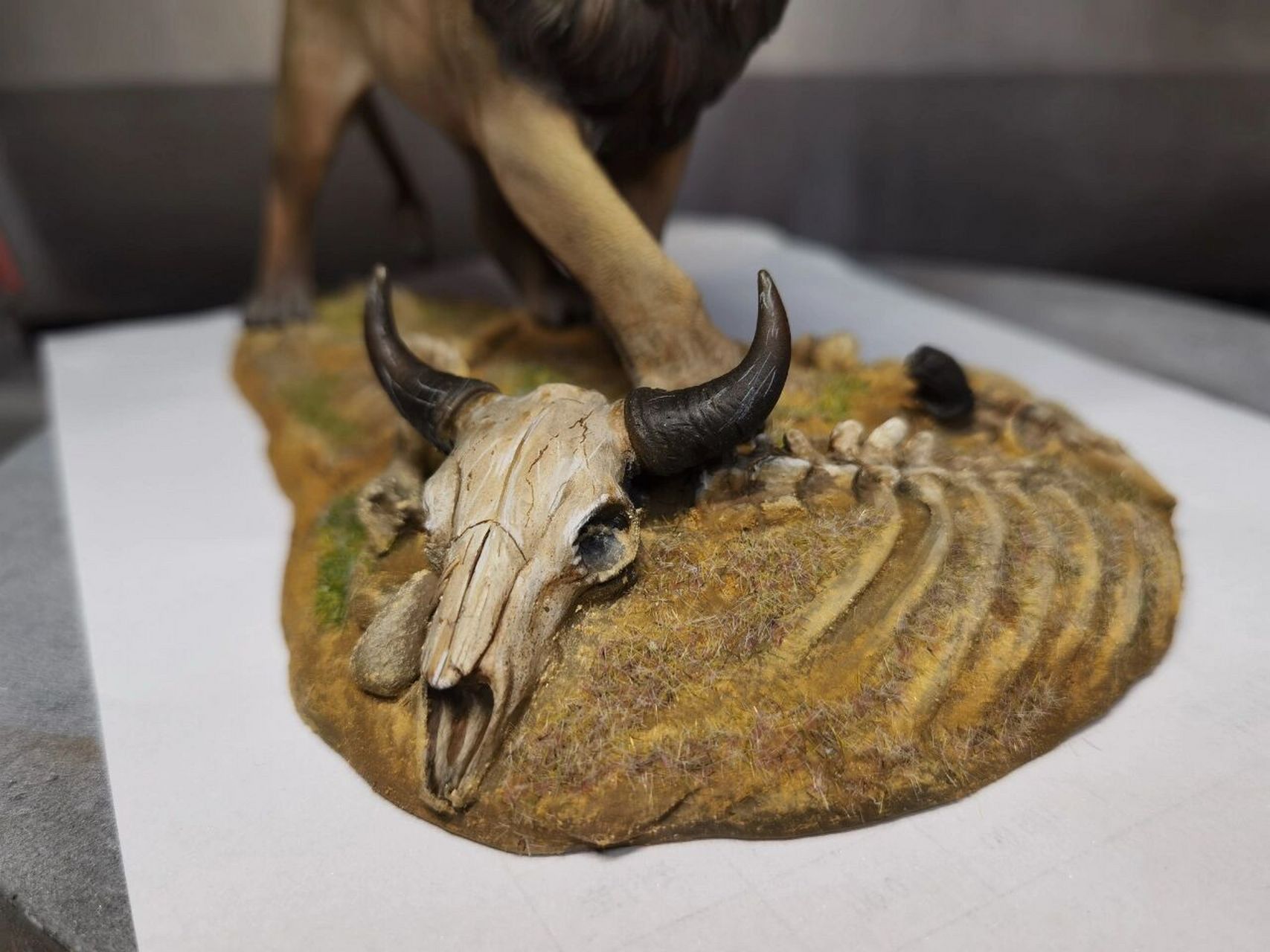 显得古朴 一个非洲狮地台,牛头骨的涂装让我想起了高中时候学习美术