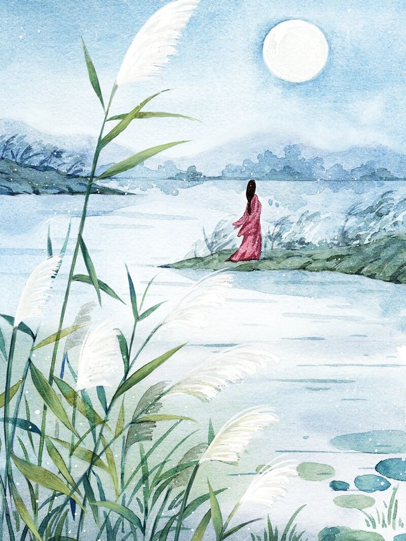 【诗经·秦风·蒹葭】水彩手绘古诗词