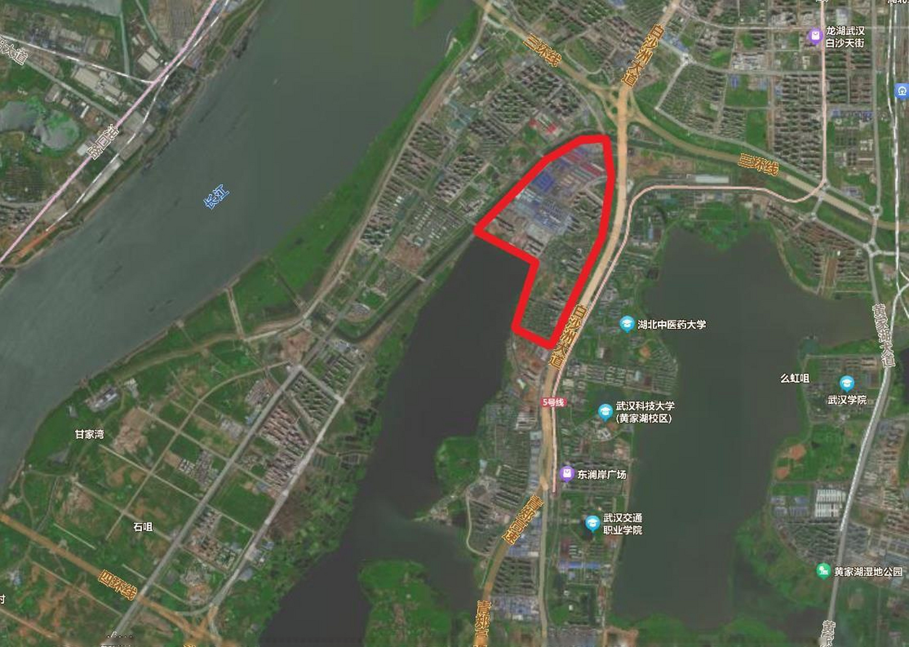 武汉市洪山区青菱小学对口范围