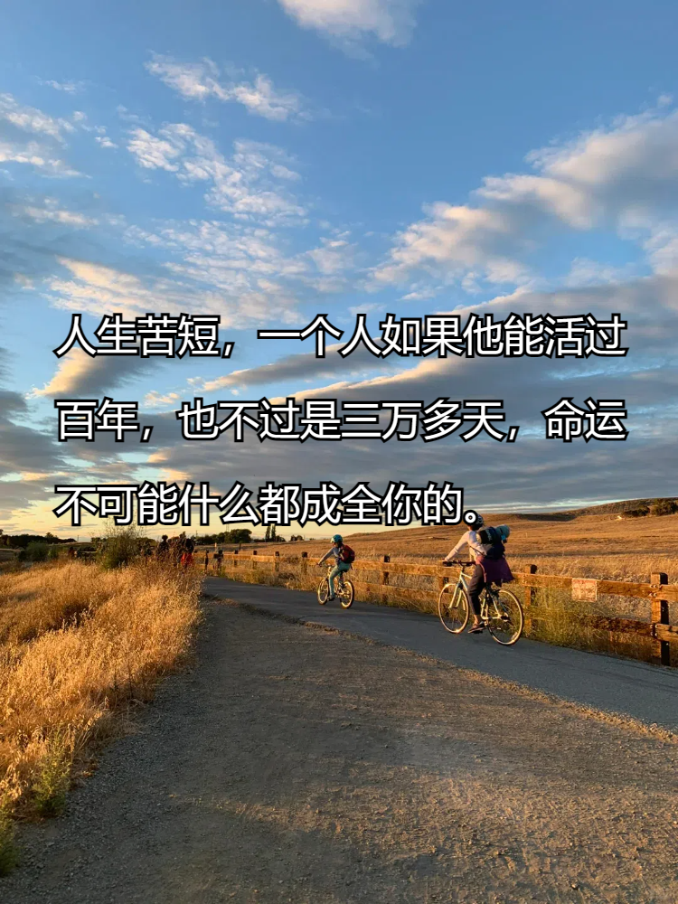 在这短暂的人生旅途中