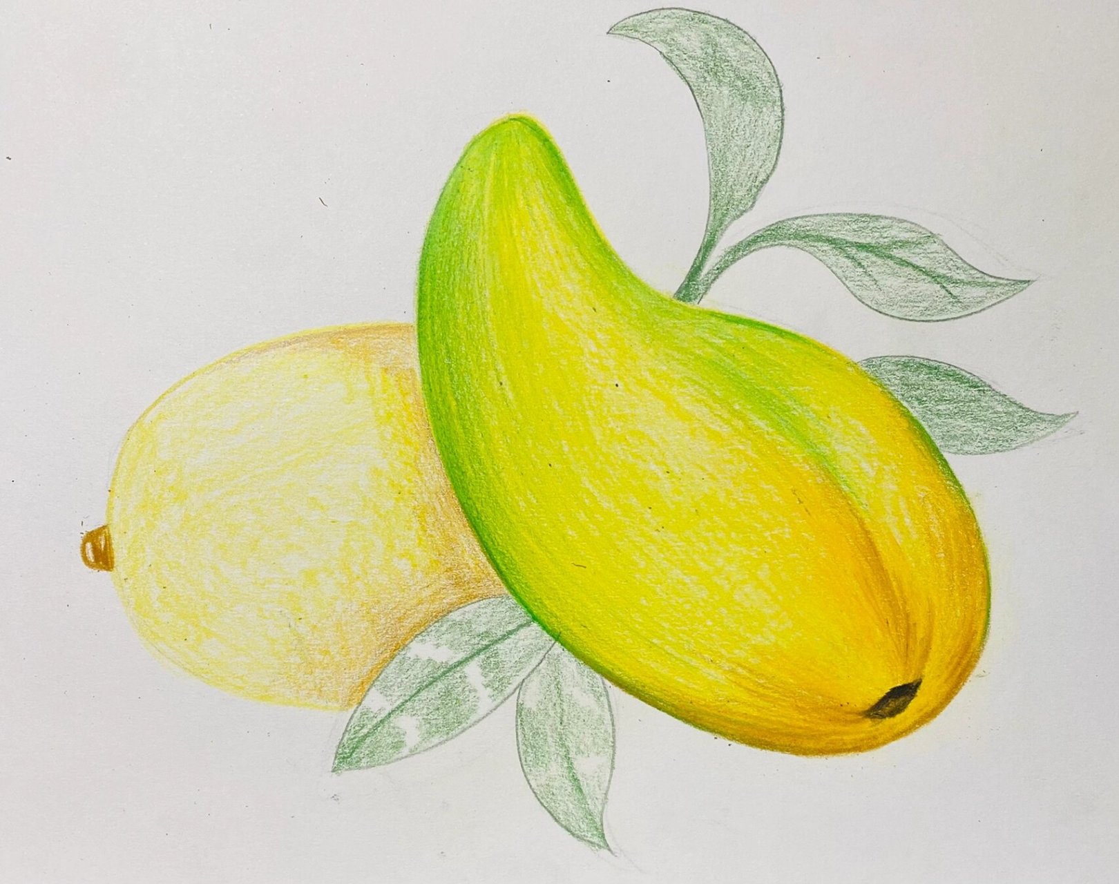 彩铅芒果03