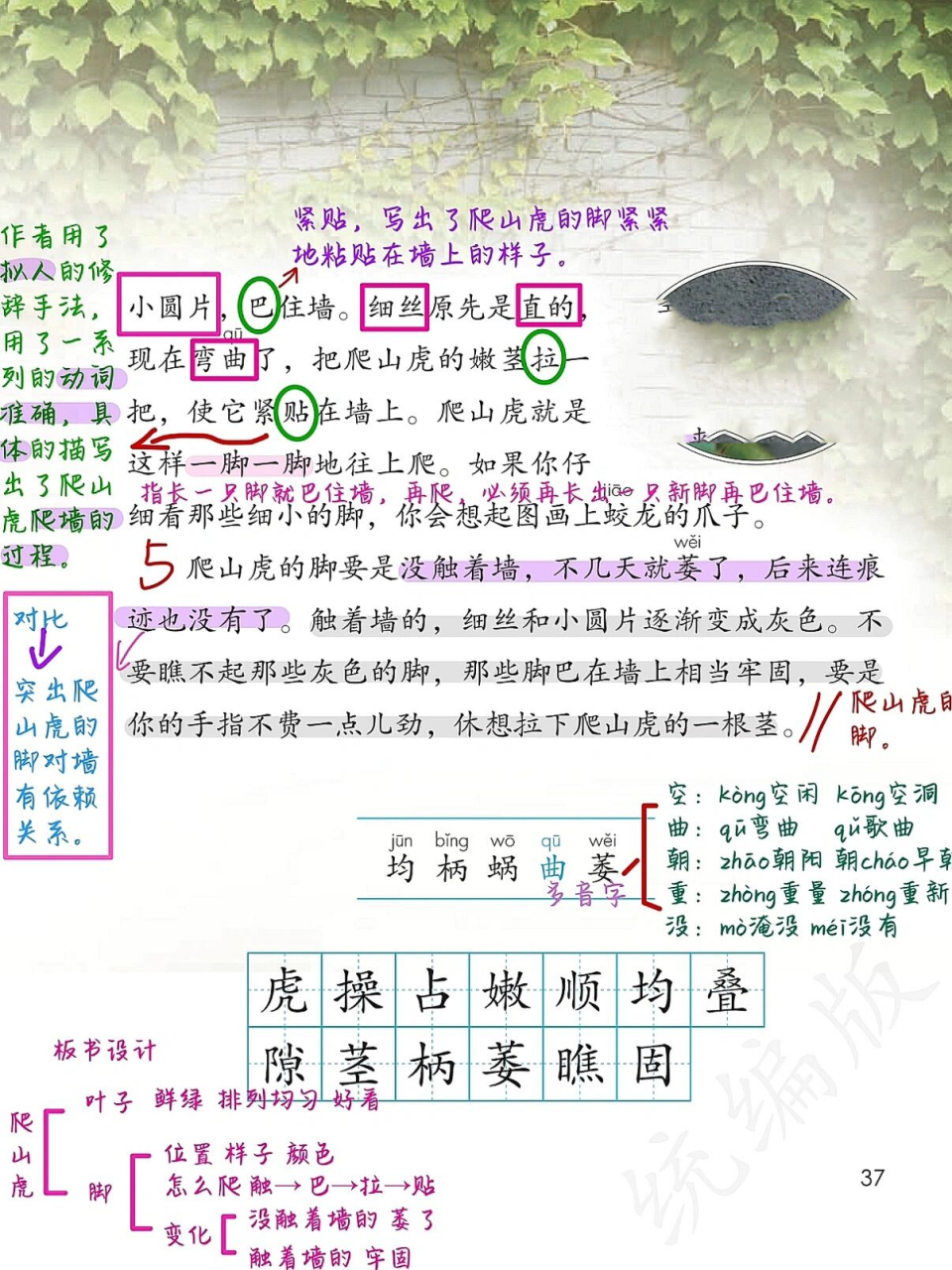 四上语文|第10课《爬山虎的脚》超详细笔记 今天有些晚了刚刚整理好