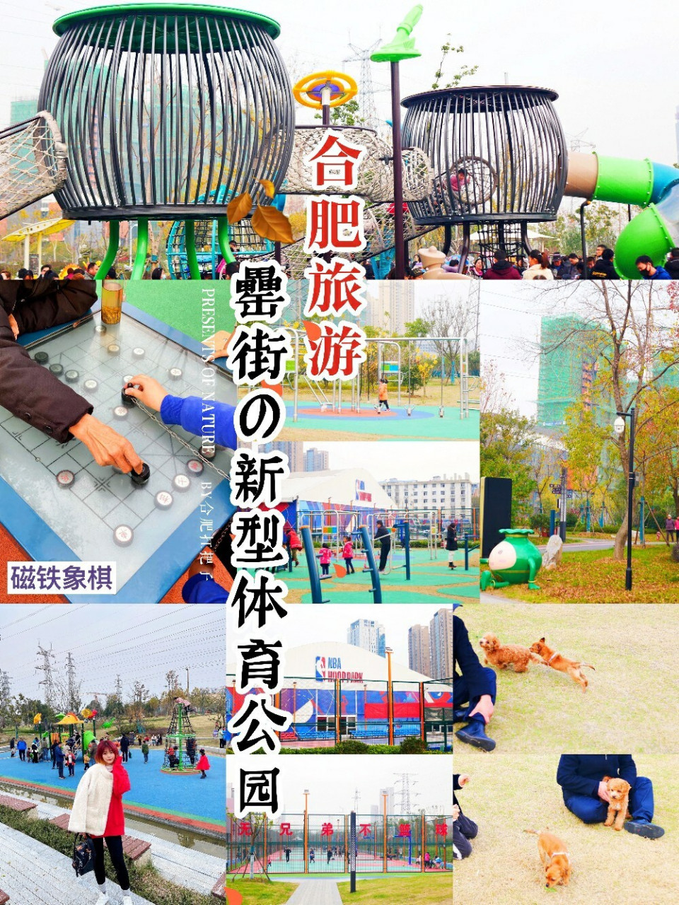 合肥旅游 | 罍街公园 | 免费の综合体育公园 9399939993