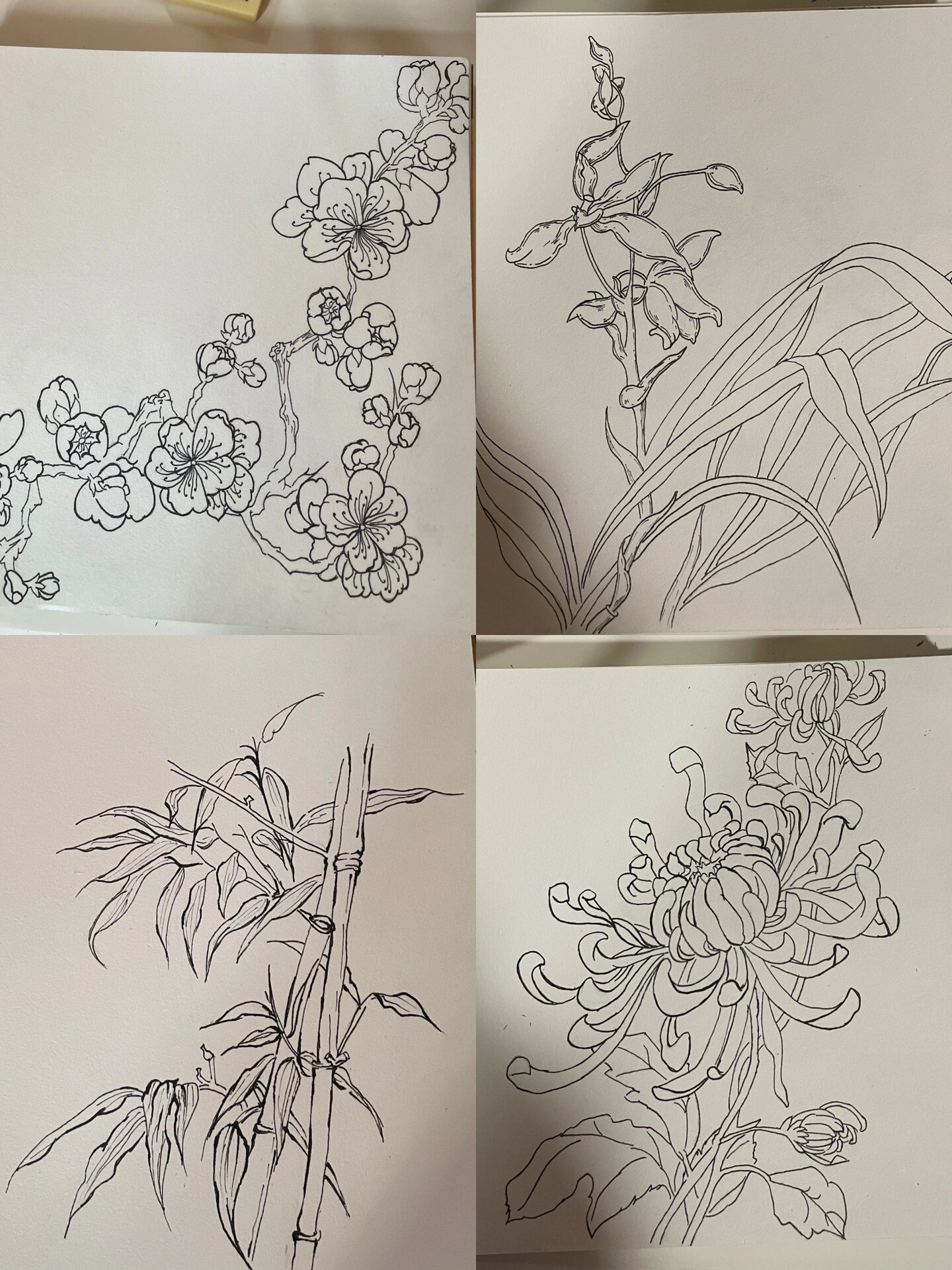 四君子:梅兰竹菊