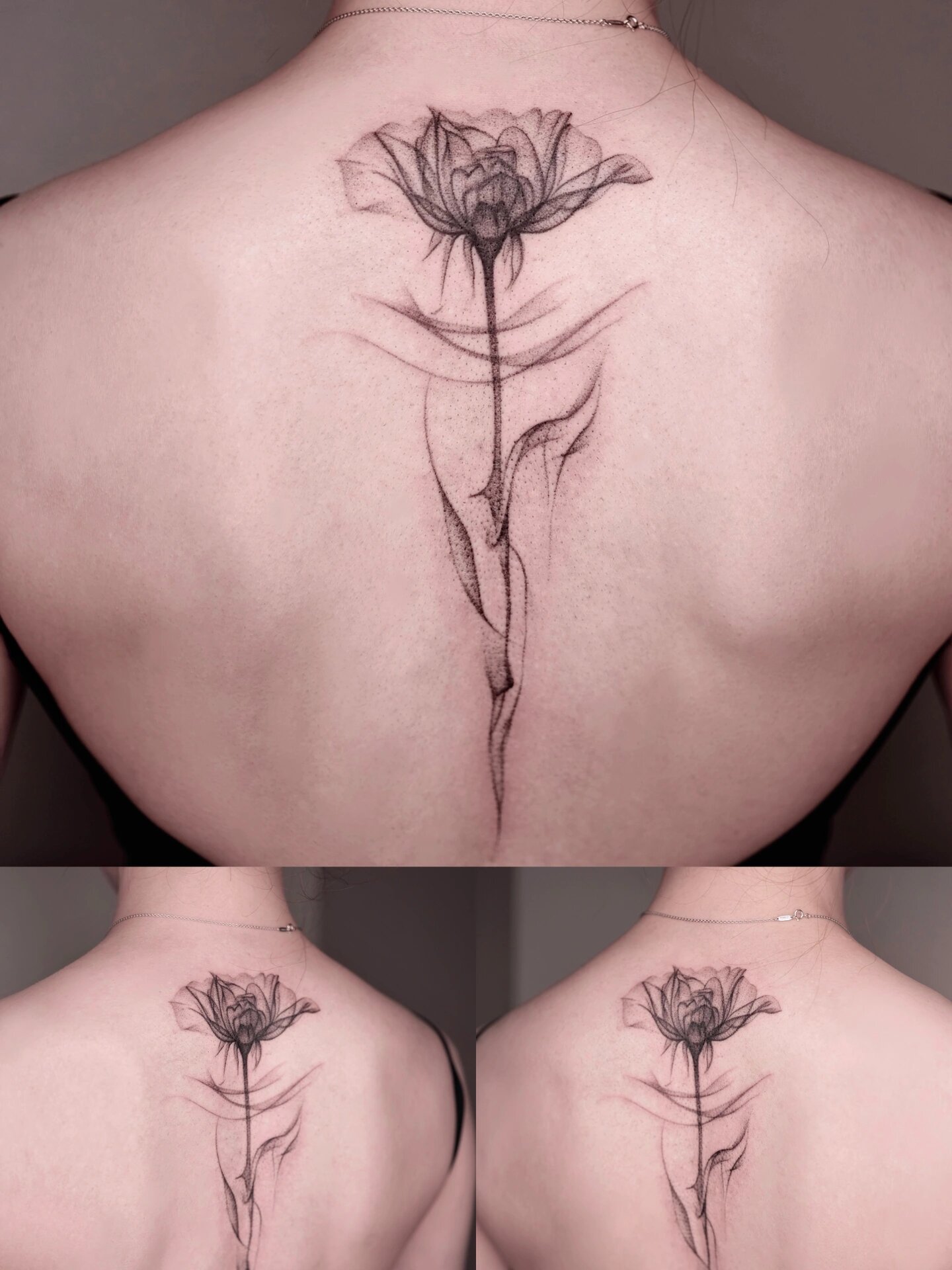 流放玫瑰|女生脊柱单针纹身|后背纹身