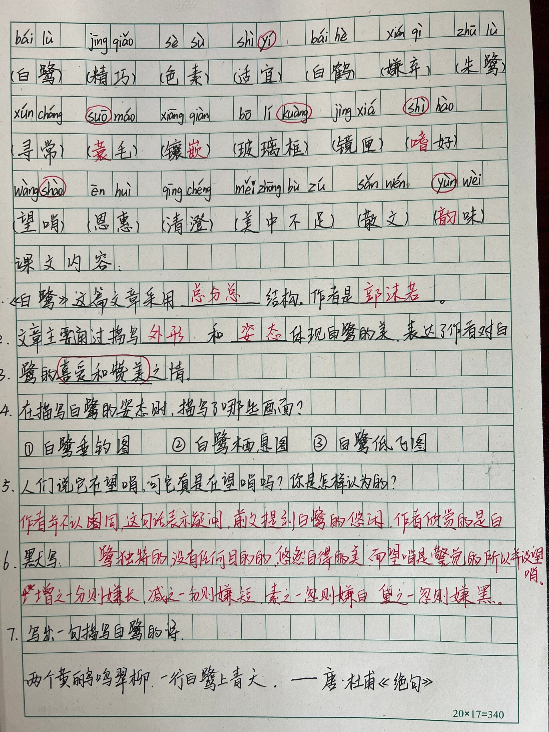 五年级上《白鹭》基础知识听写