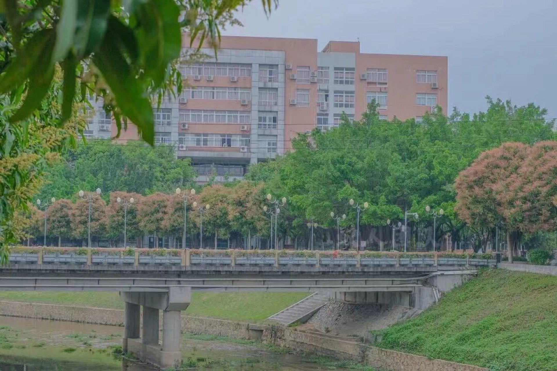 广东城建职业技术学院图片