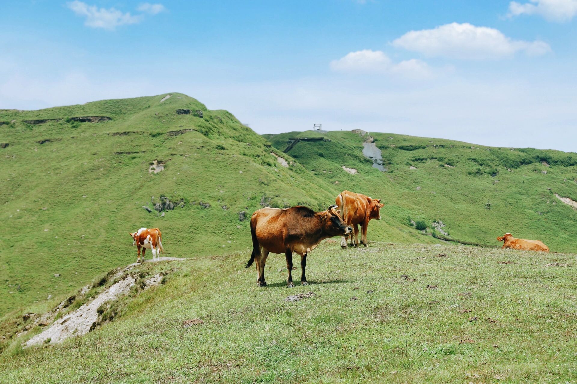 美好生活碎片91|自驾贵州阿西里西大草原 贵州阿西里西大草原, 平均