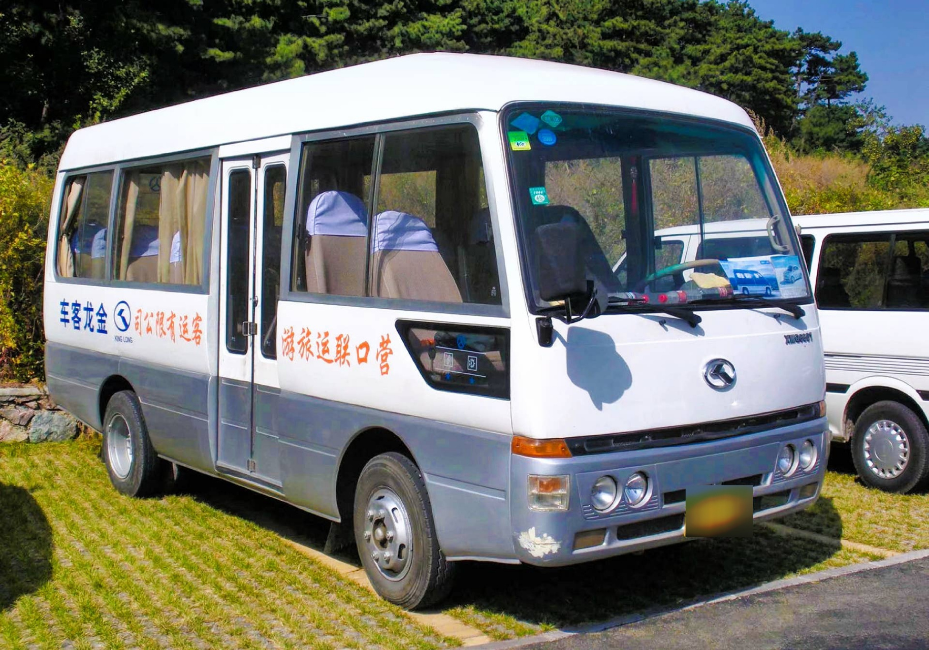 个人觉得用现在的审美来看这款金龙罗莎款式.