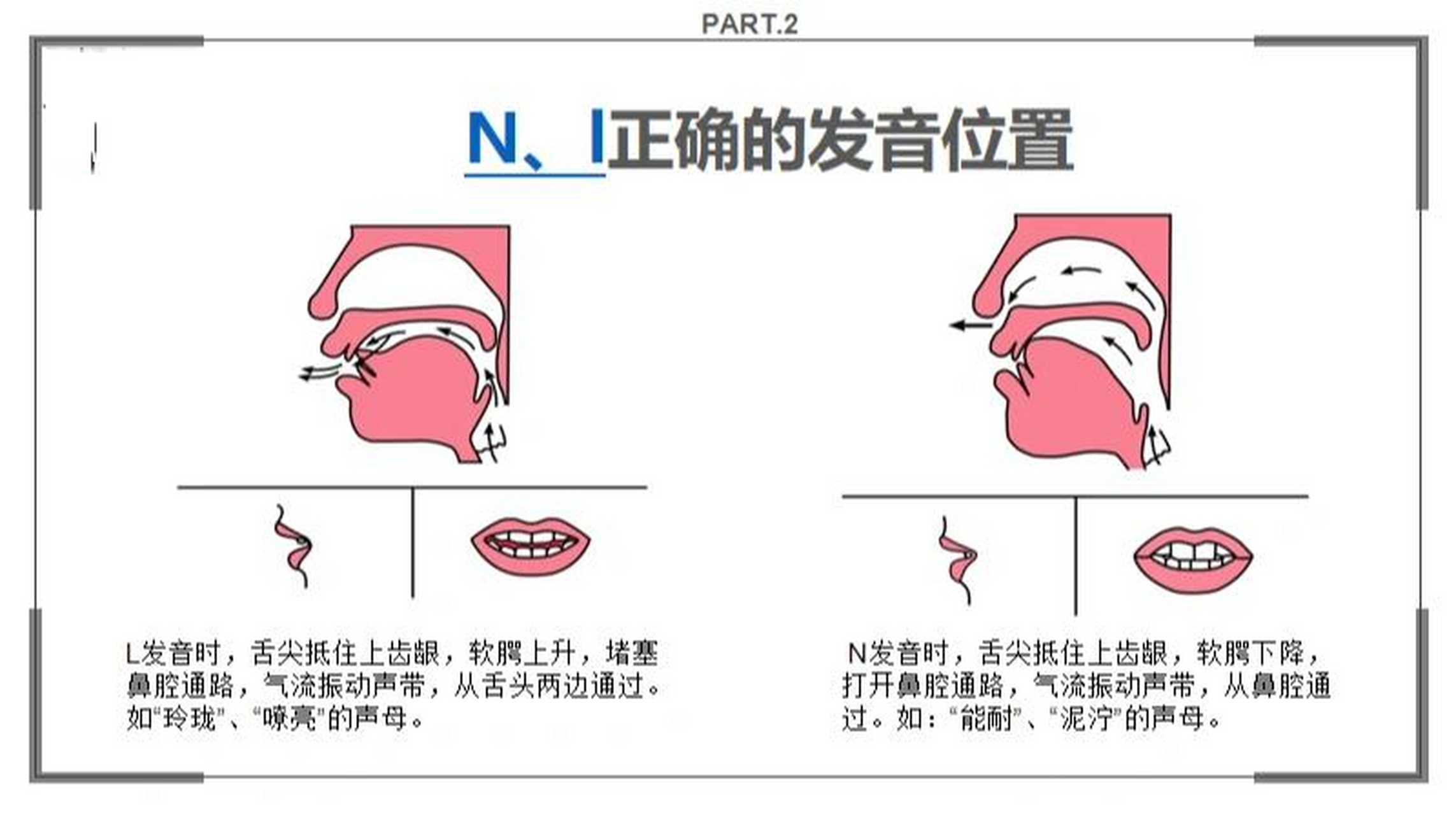 快来看! 【婉婉配音小贴士】配音萌新快来听听～如何纠正nl.不分呢?