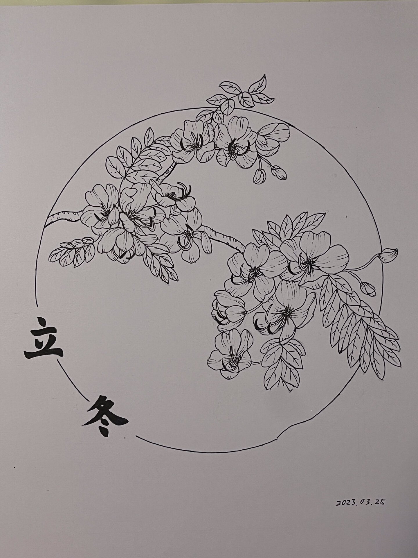 原创 笔:🌸08,03 纸:8k160克素描纸