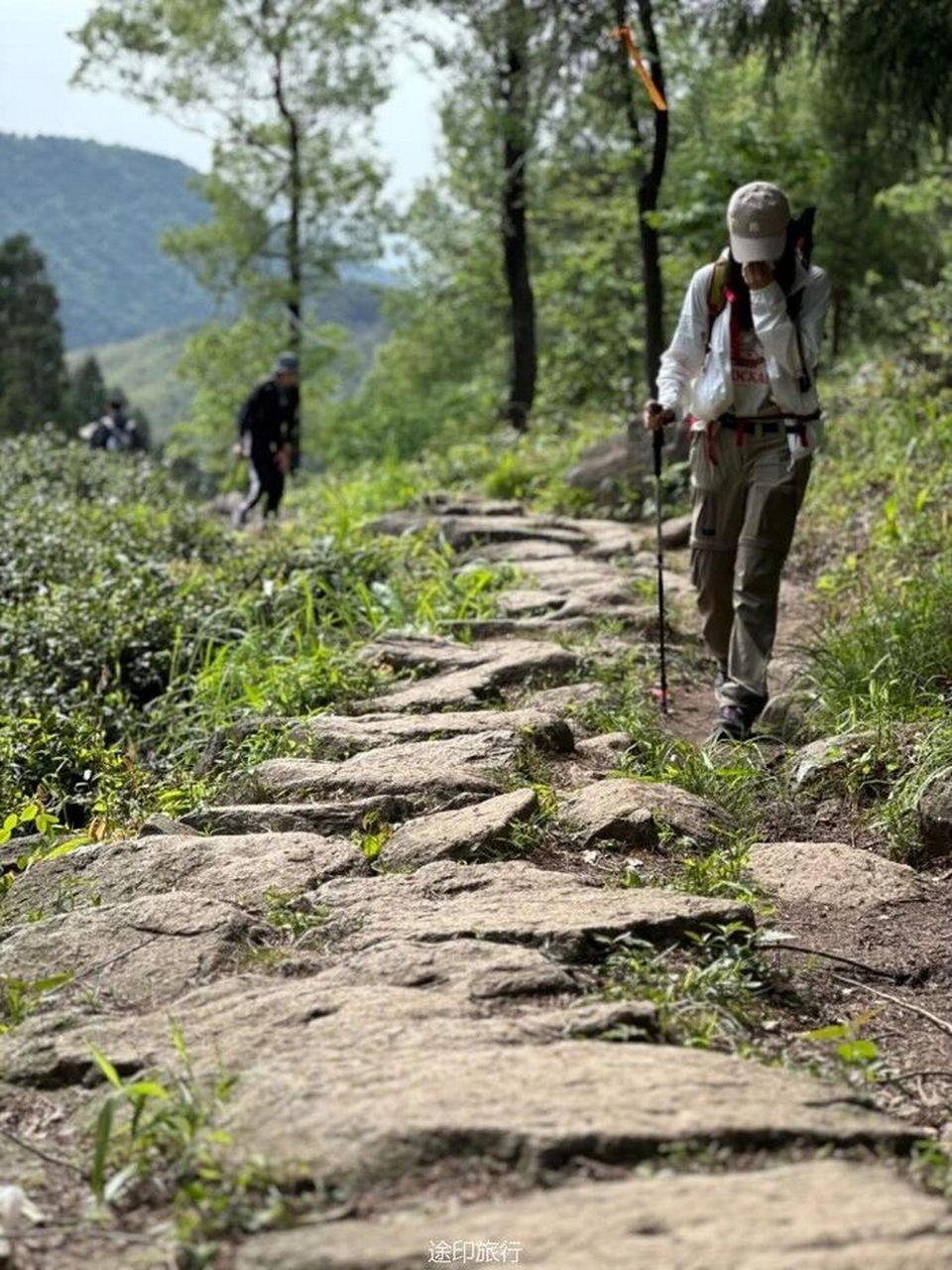 龙门山最高峰图片