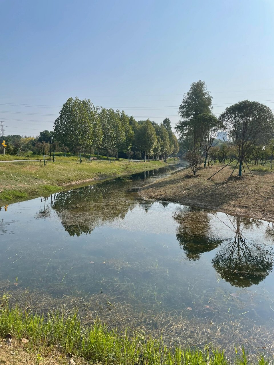 武汉张毕湖公园 #秋游##重阳节##党日活动