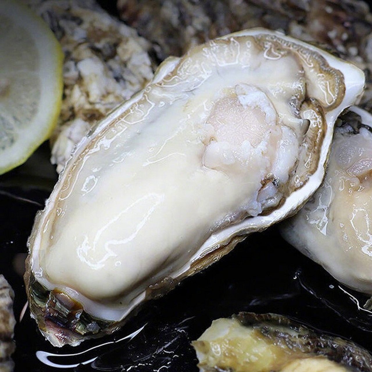 每一只生蚝都是经过精心挑选的鲜活货源,保证新鲜度.