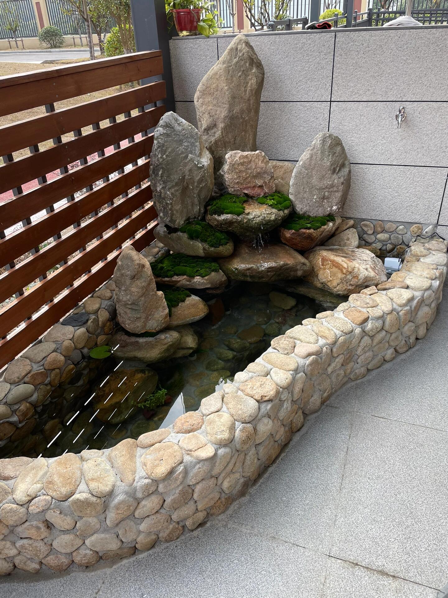 自己设计的鱼池