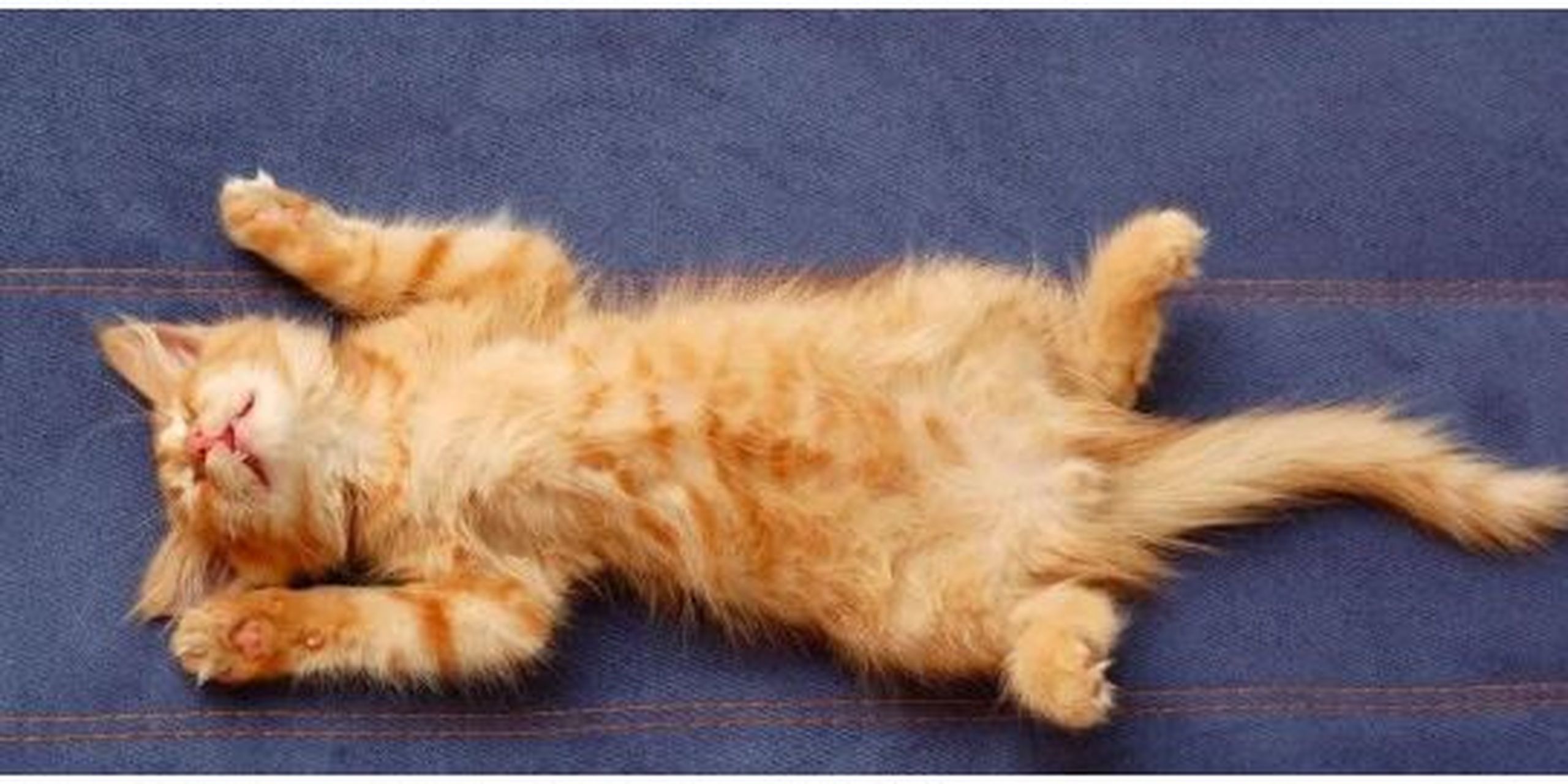 这9种睡姿是什么意思呢?