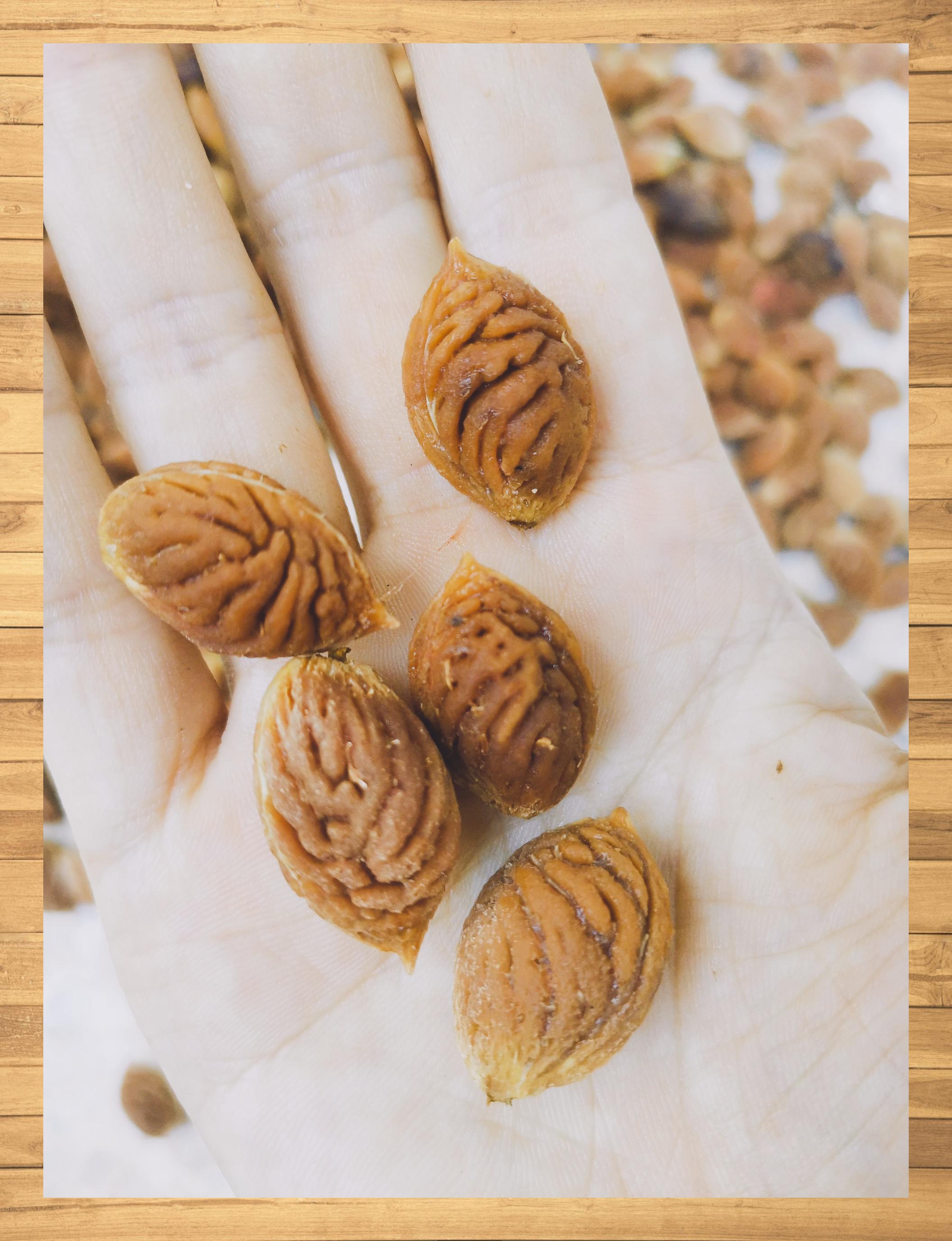 5元  回老家,意外发现婆婆摘的野生桃核,她告诉我,这边的中药材店居然