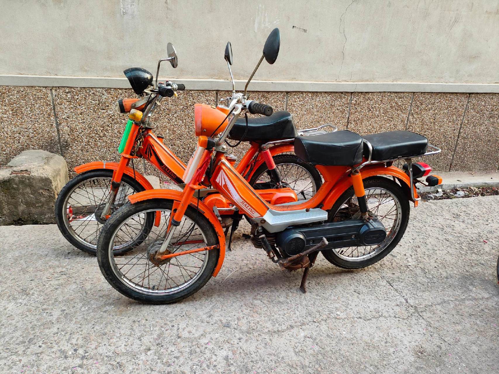 1983年和1998年出生的嘉陵50红公鸡