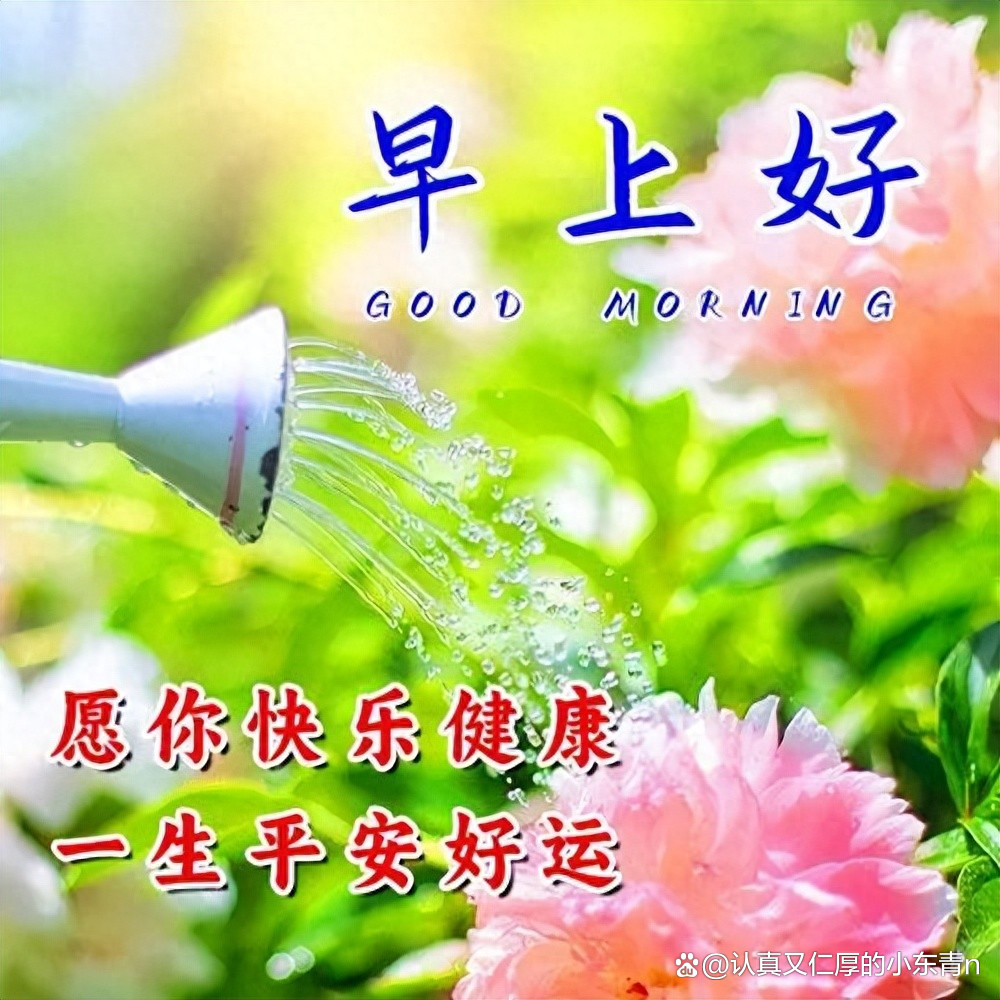 早上好!愿你每天都像今天一样,阳光明媚,笑容满面