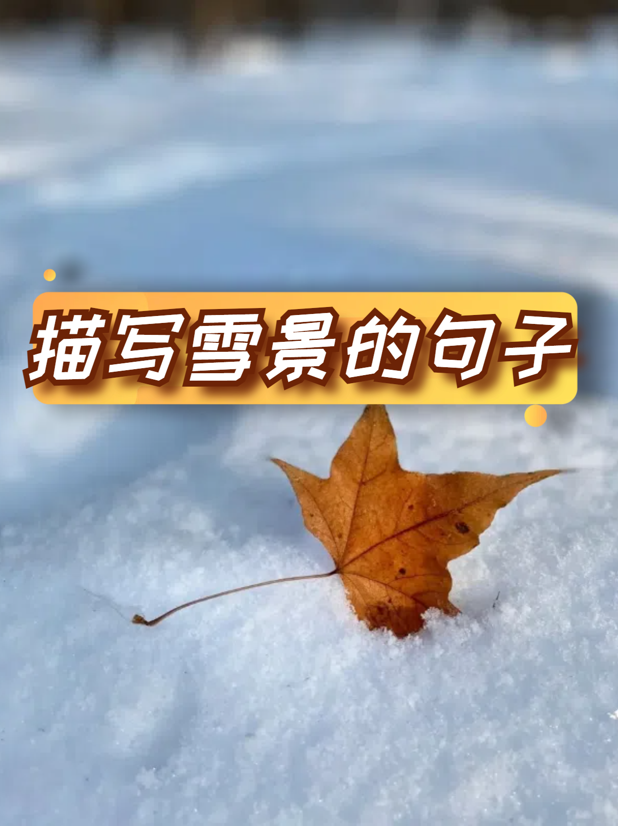 配雪景的唯美短句图片