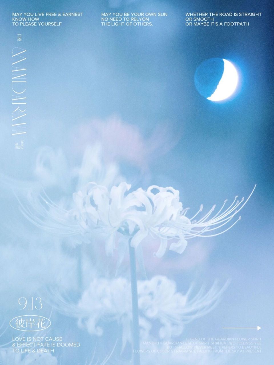 白色彼岸花是无尽的思念07 白色彼岸花又叫曼陀罗华,其花语是:无尽