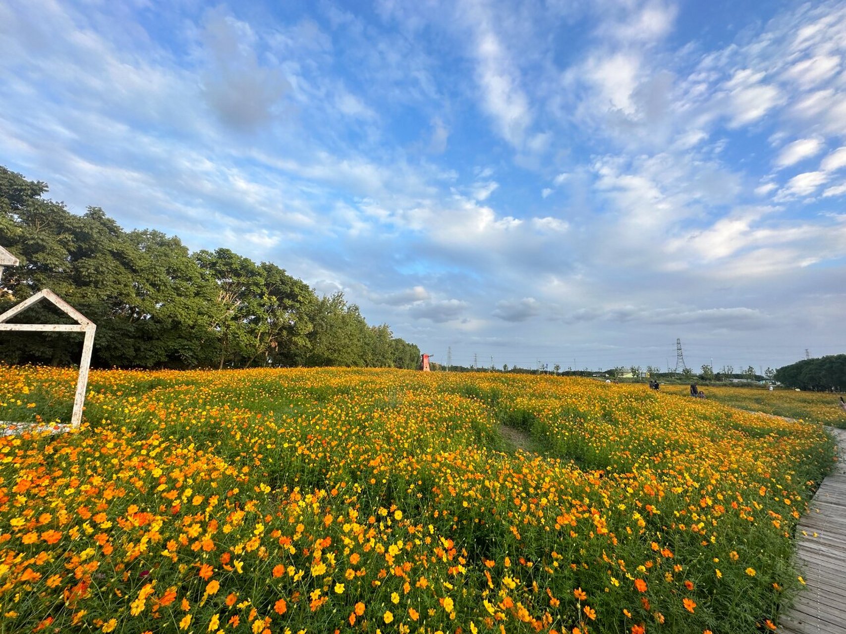 宁波新手司机驾驶地推荐——荪湖公园 第三次来到荪湖公园了,从刚开始