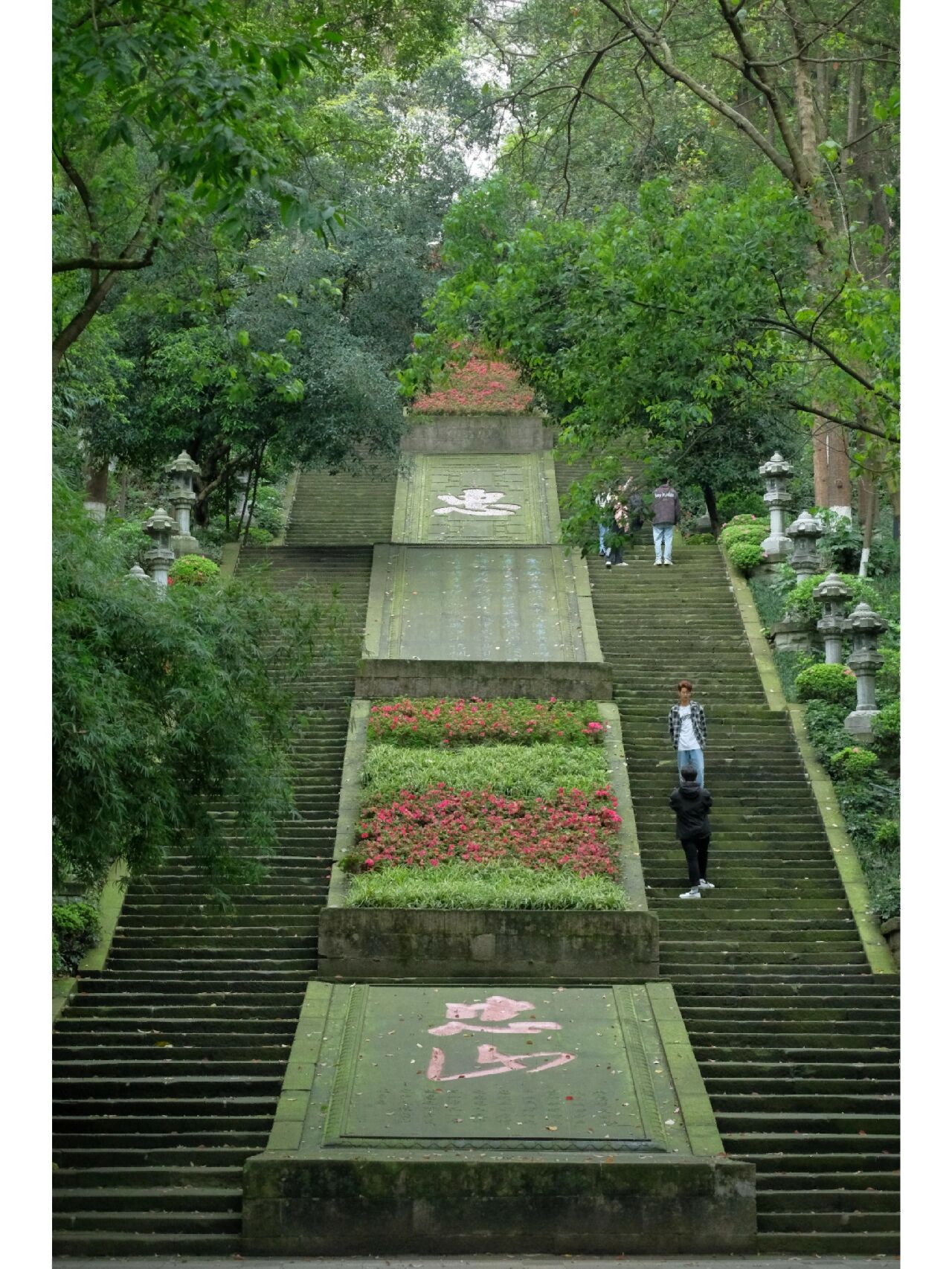 泸州|忠山公园