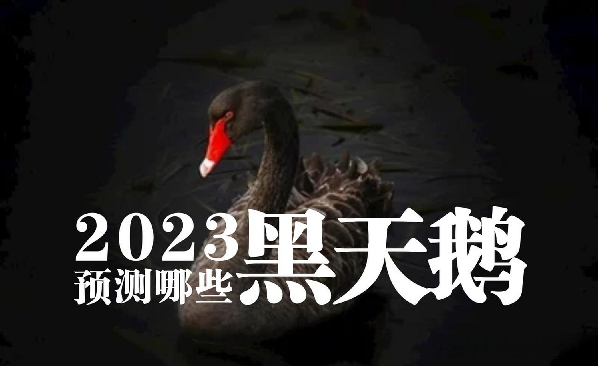 乌克兰国家电视台被黑(乌克兰1+1电视台广告视频)