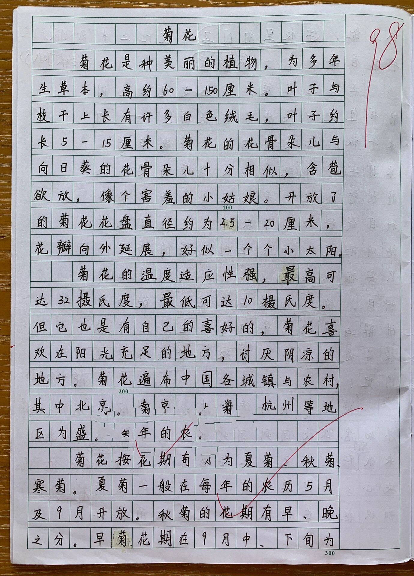 菊花作文50个字图片