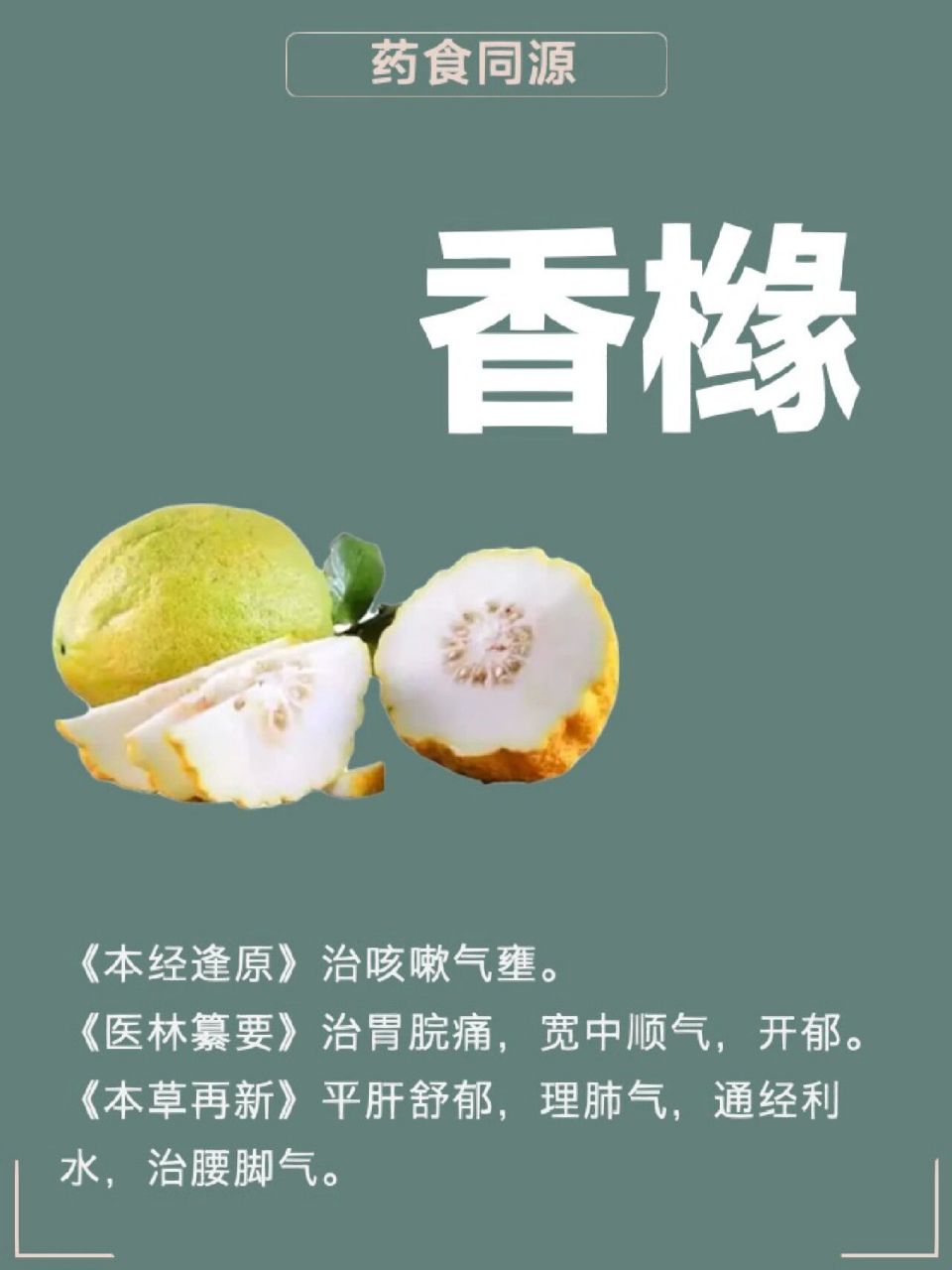 药食同源:认识《香橼》 97身在北方,没学过之前看着像柚子,皮厚馅小