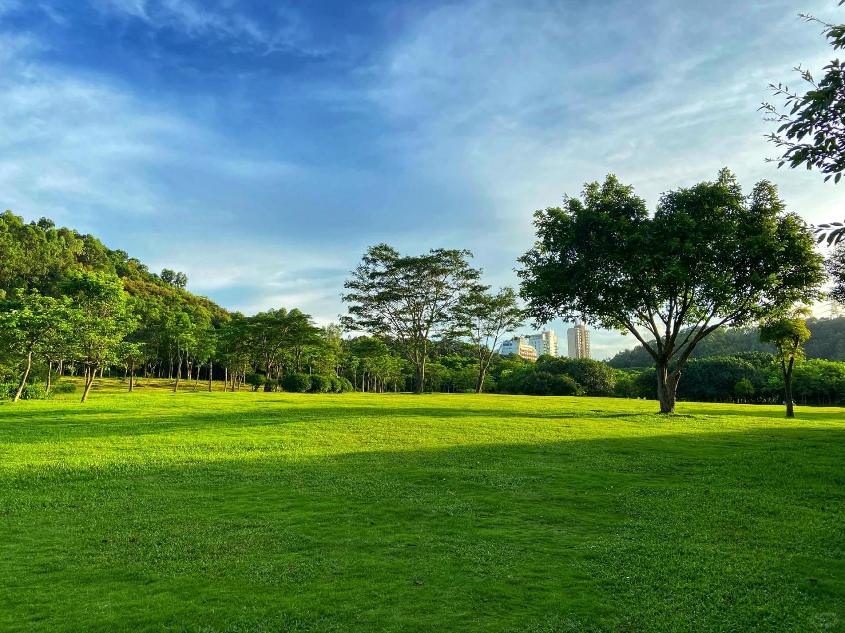 深圳龙岗 大运公园 藏在大自然公园湖畔的独栋书吧咖啡厅 很平价 很