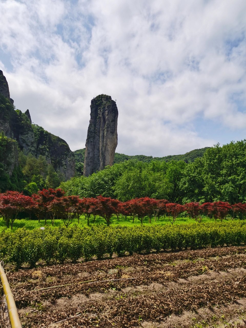 浙里游系列 缙云仙都一日游 仙都,仙人荟萃之都 门票95元(含景区公交)
