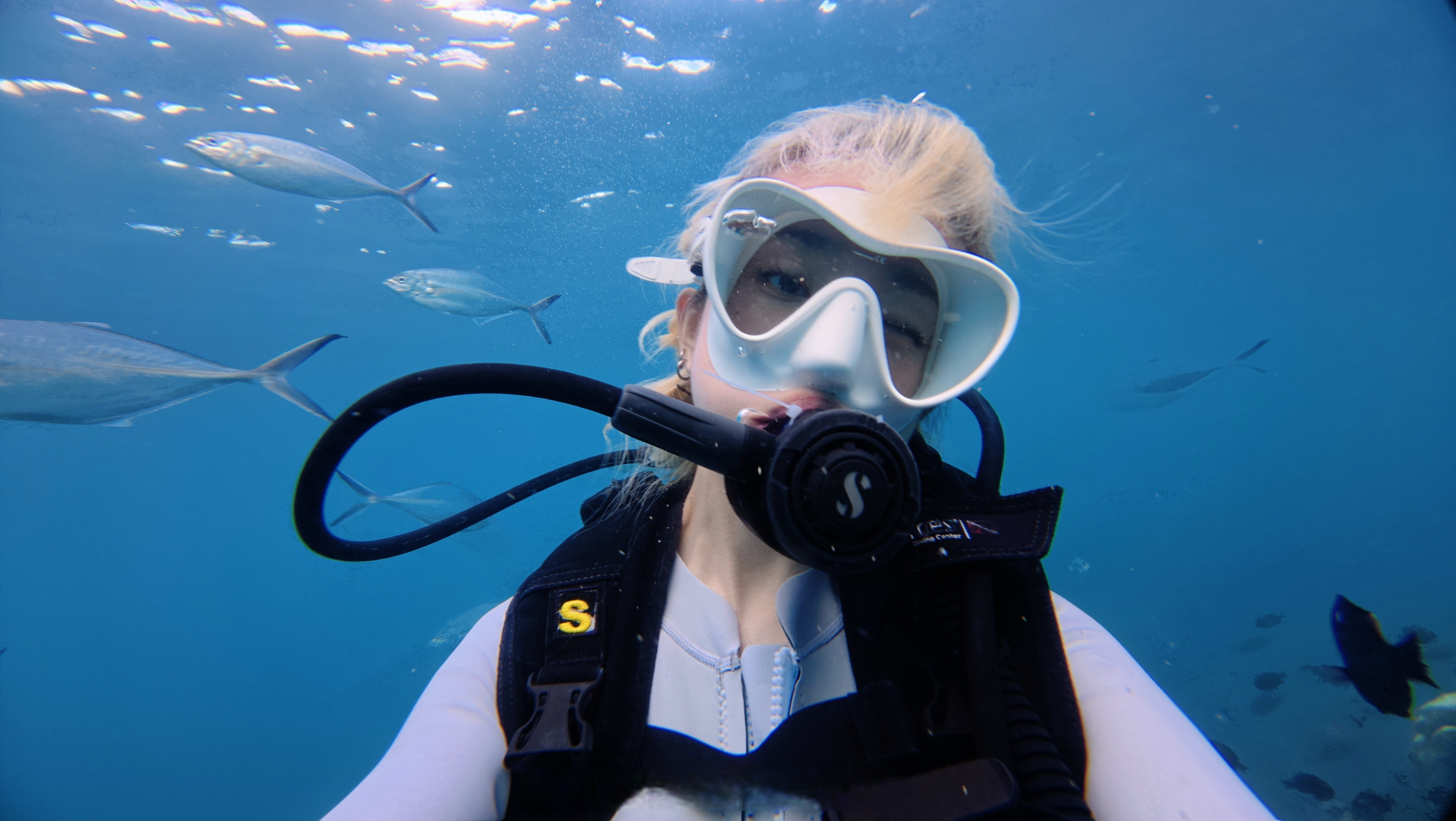 海洋给了我们无尽的生命力量,也悄悄告诉我们答案: "当你心怀敬意