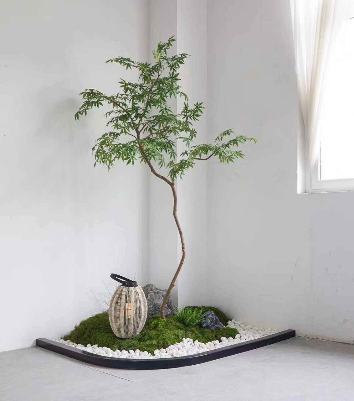 墙角位置绿植造景