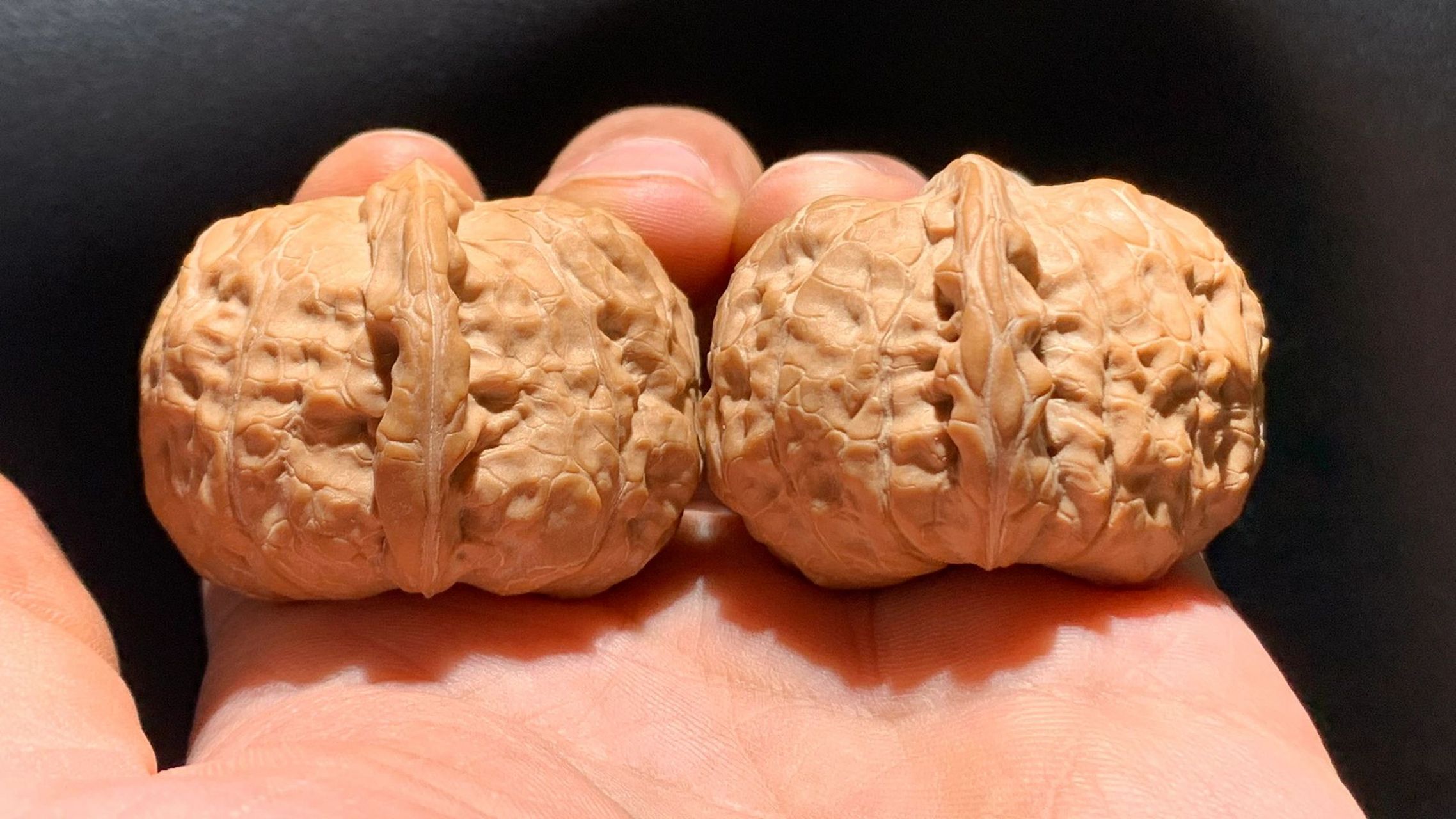 以底命名的文玩核桃:南瓜墩99性感肥美!