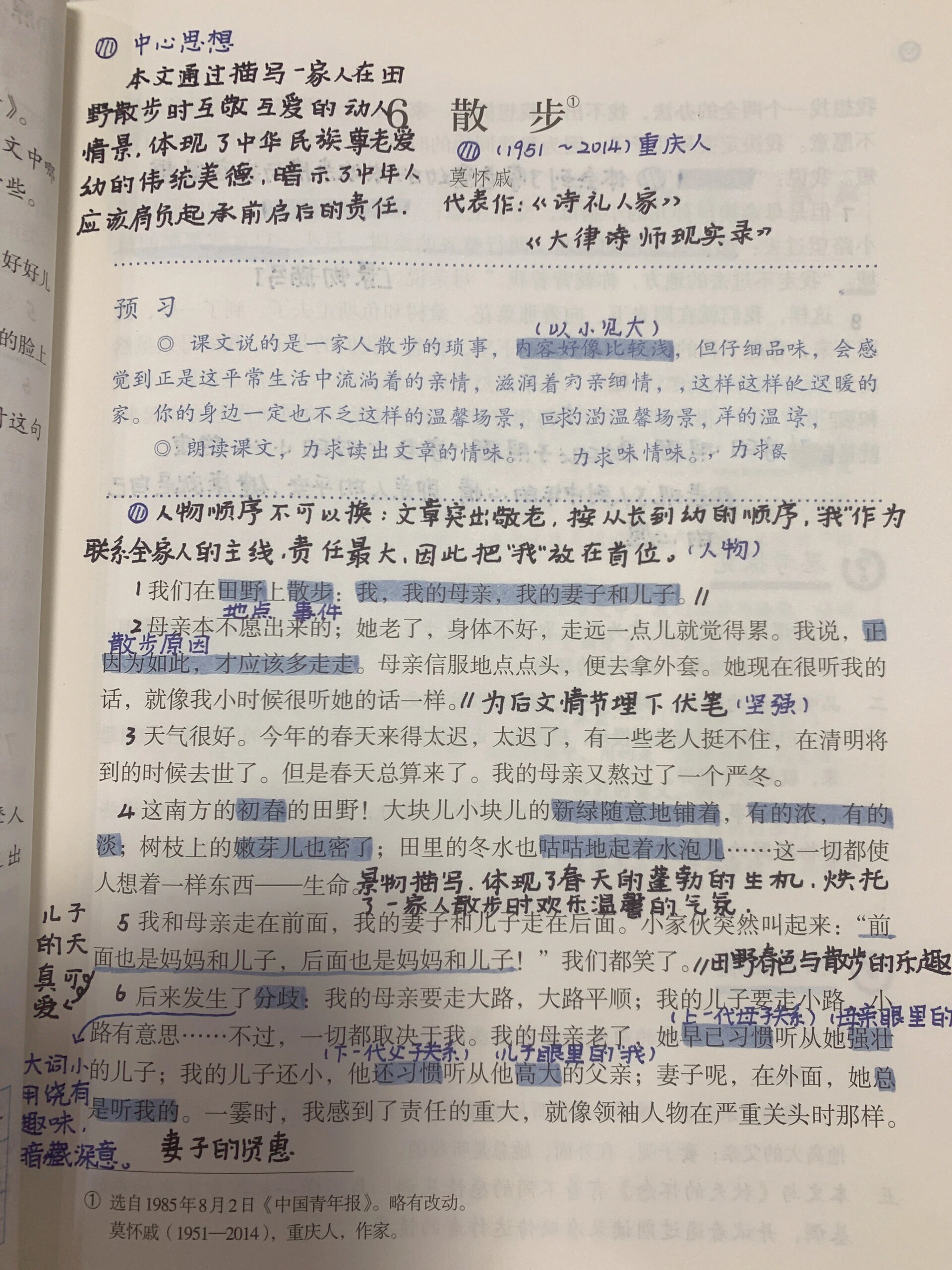 初一《散步》课文原文图片