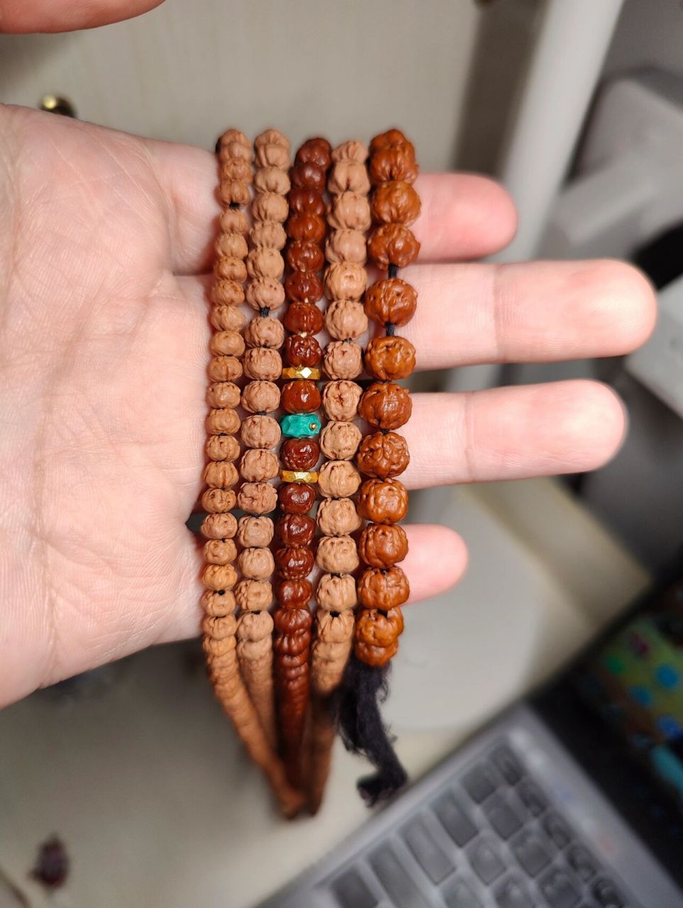 佛手小金刚的尺寸一般在5-8之间,黄金尺寸是6.5-7.